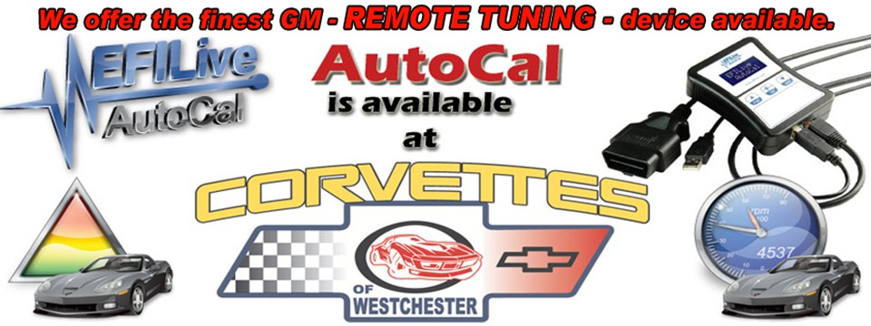 Chuck CoW can tune your C6 thru the INTERNET
